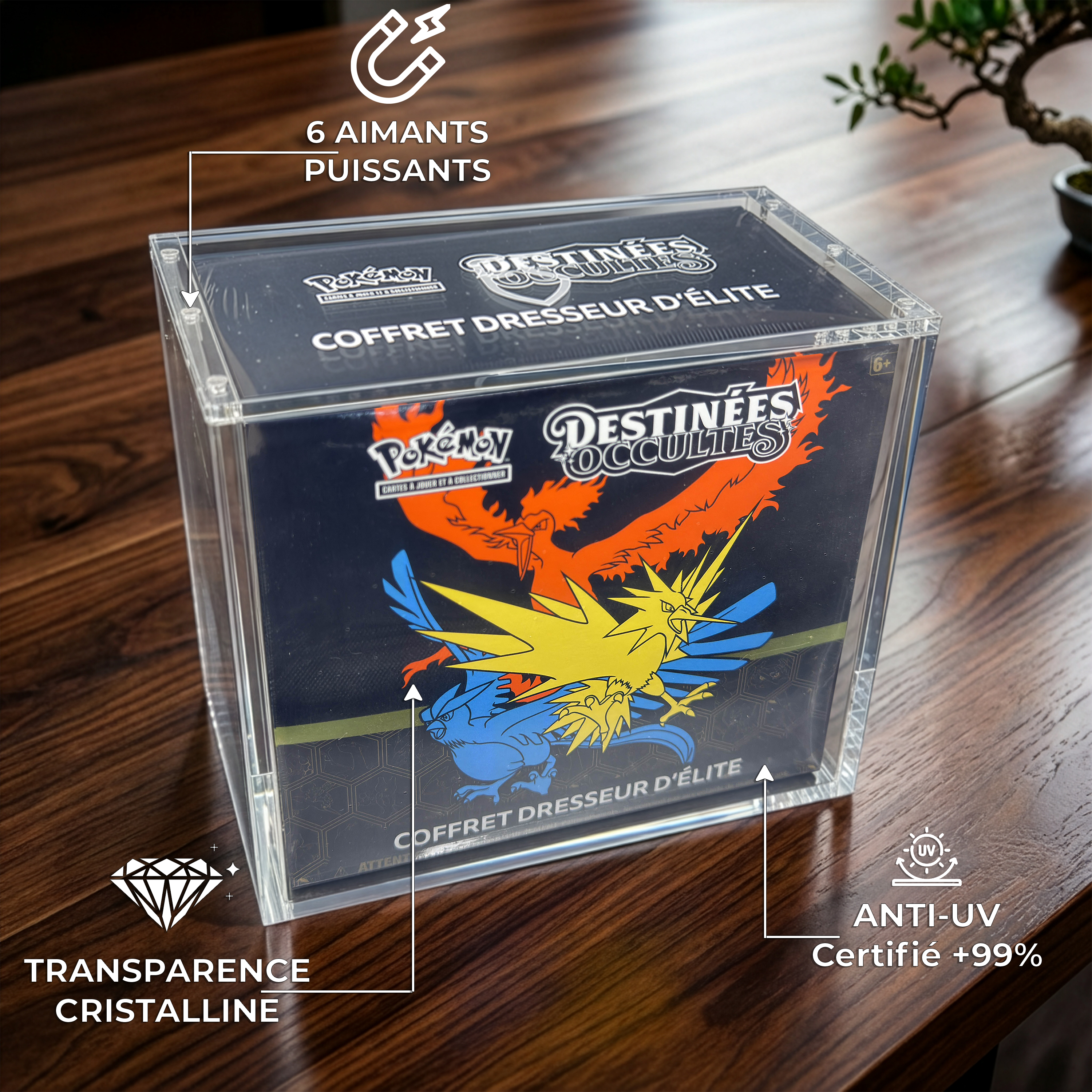 Protection Acrylique – Elite Trainer Box (ETB)